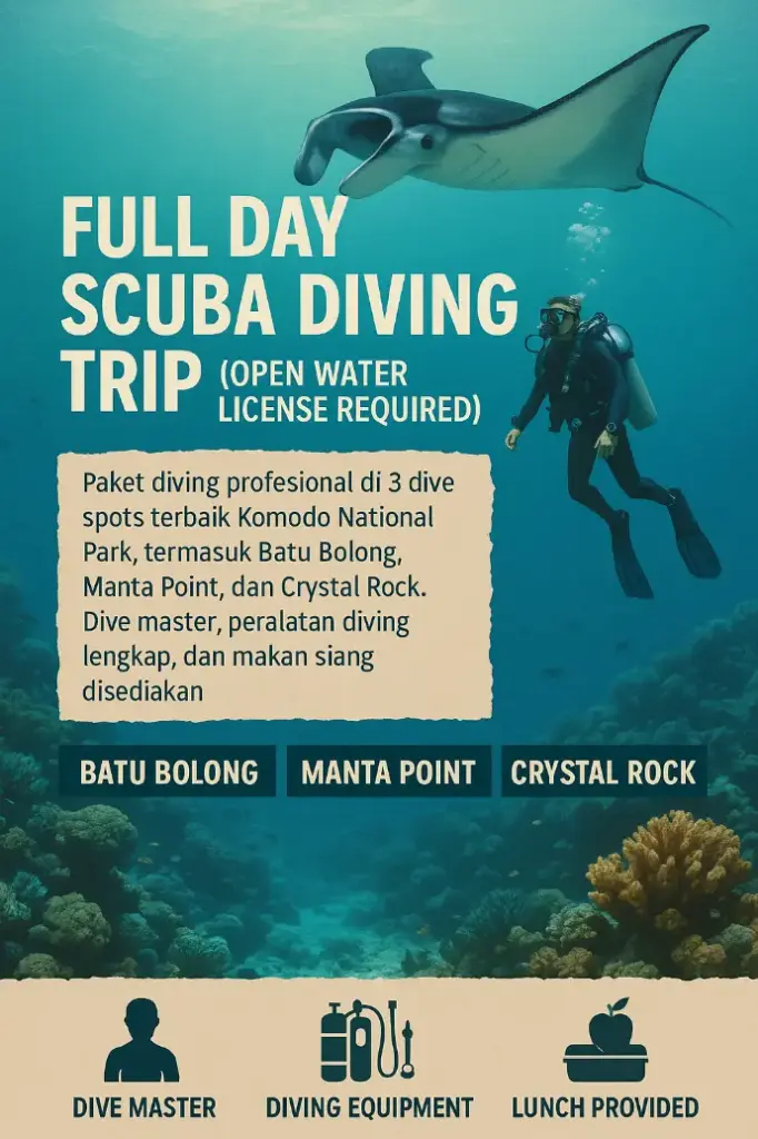 Full Day Scuba Diving Trip (Open Water License Required)