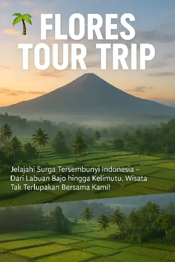 One Day Trip Pulau Padar – Komodo – Pink Beach