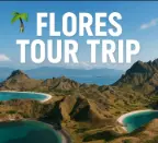 FLORES TOUR TRIP